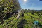 Plac, Jagodina, prodaja, 1331m2, 18500e, id750355